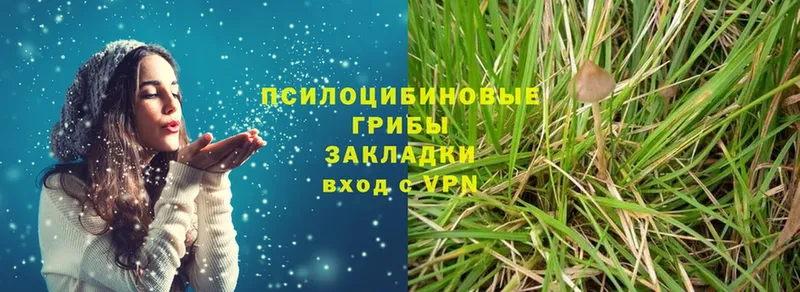 Галлюциногенные грибы MAGIC MUSHROOMS  где купить наркоту  Билибино 